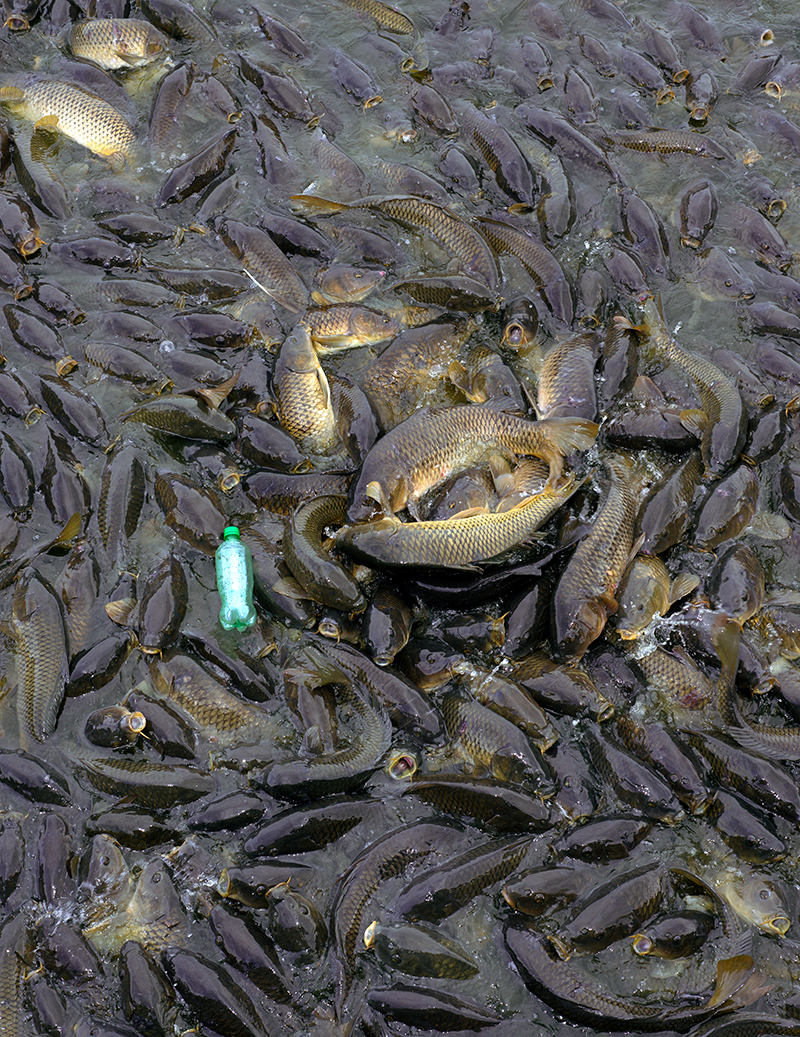 04-works-carp 04-works-carp