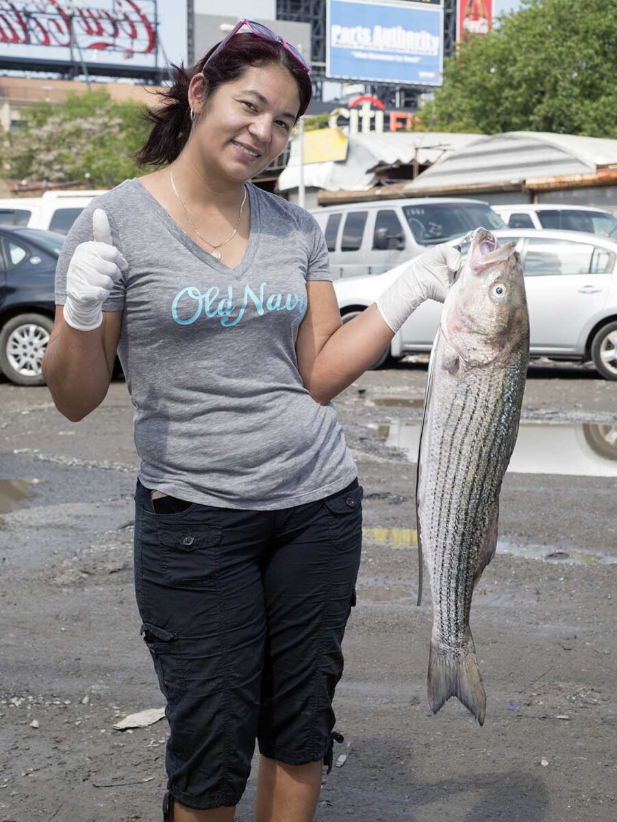 Pictures of the Lost Source Pictures of the Lost Source