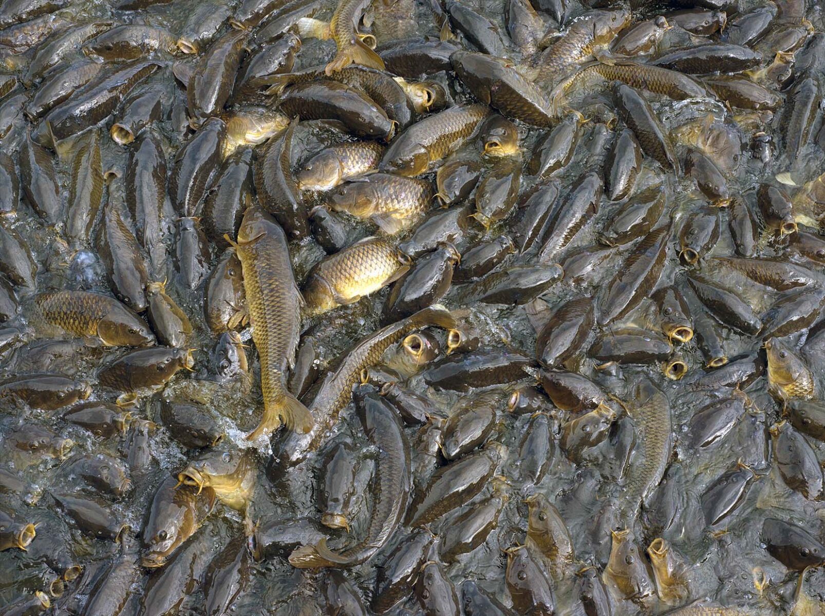 works-linesville spillway-01 works-linesville spillway-01