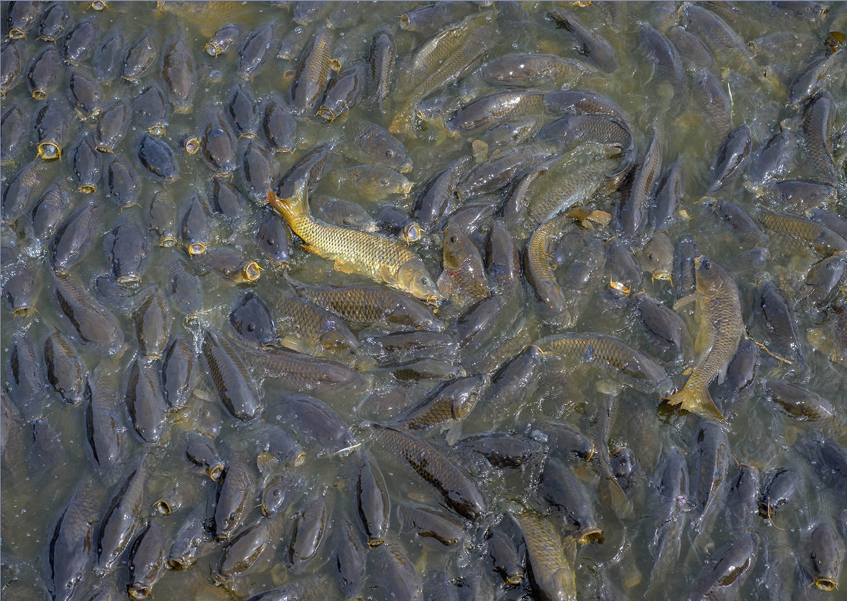 works-linesville spillway-03 works-linesville spillway-03