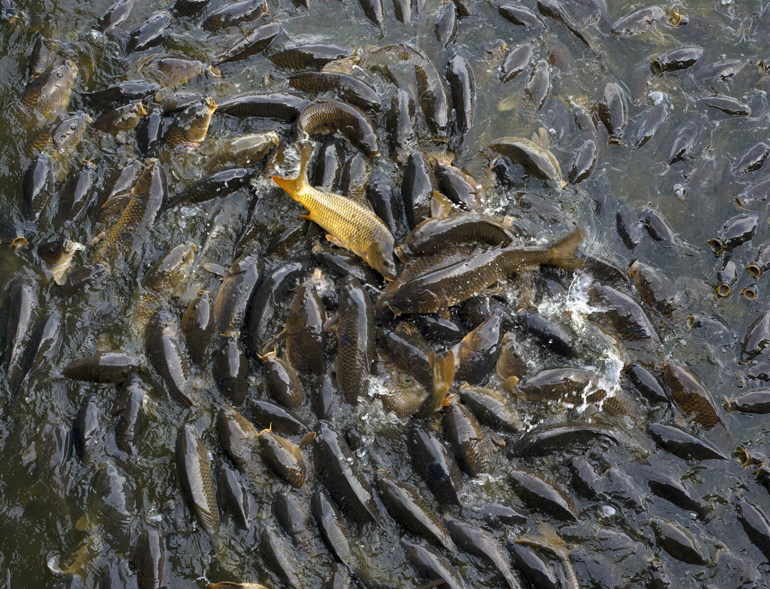 works-linesville spillway-04 works-linesville spillway-04