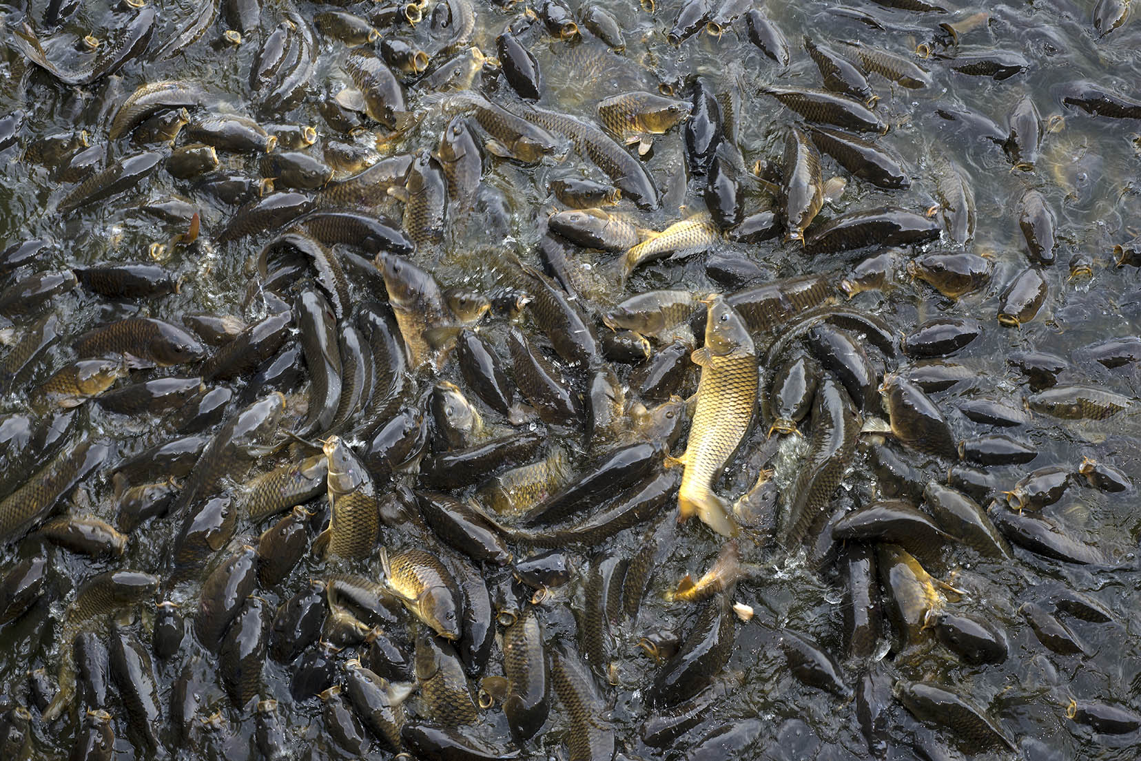 works-linesville spillway-05 works-linesville spillway-05