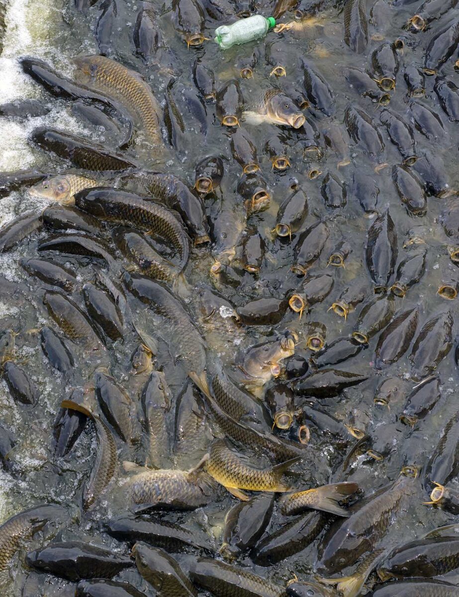 works-linesville spillway-07 works-linesville spillway-07