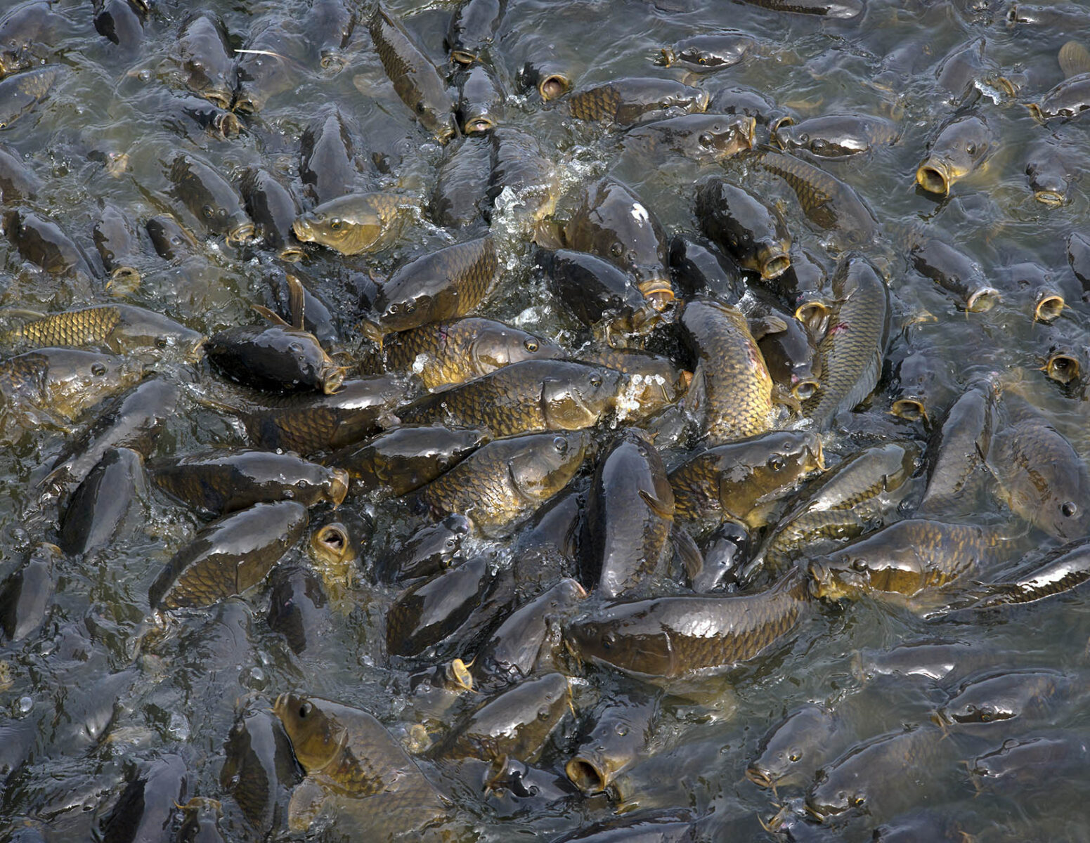 works-linesville spillway-09 works-linesville spillway-09