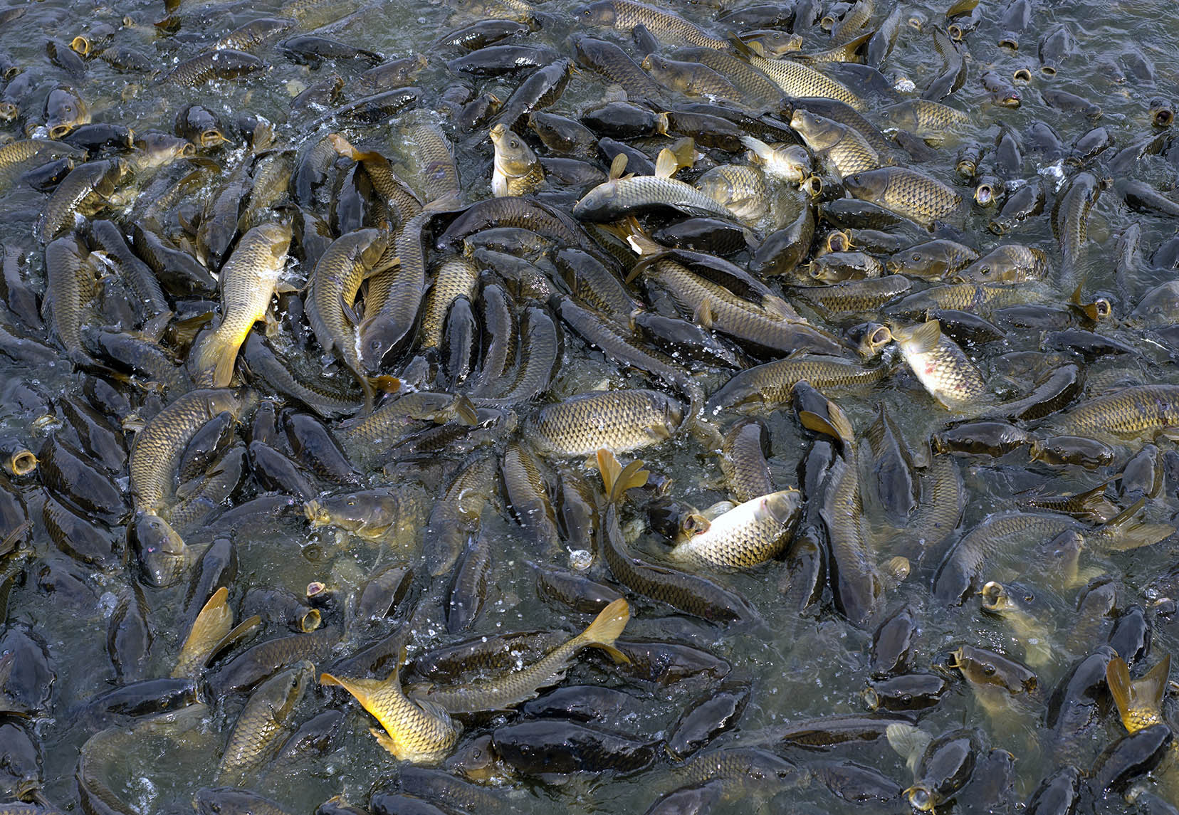 works-linesville spillway-11 works-linesville spillway-11