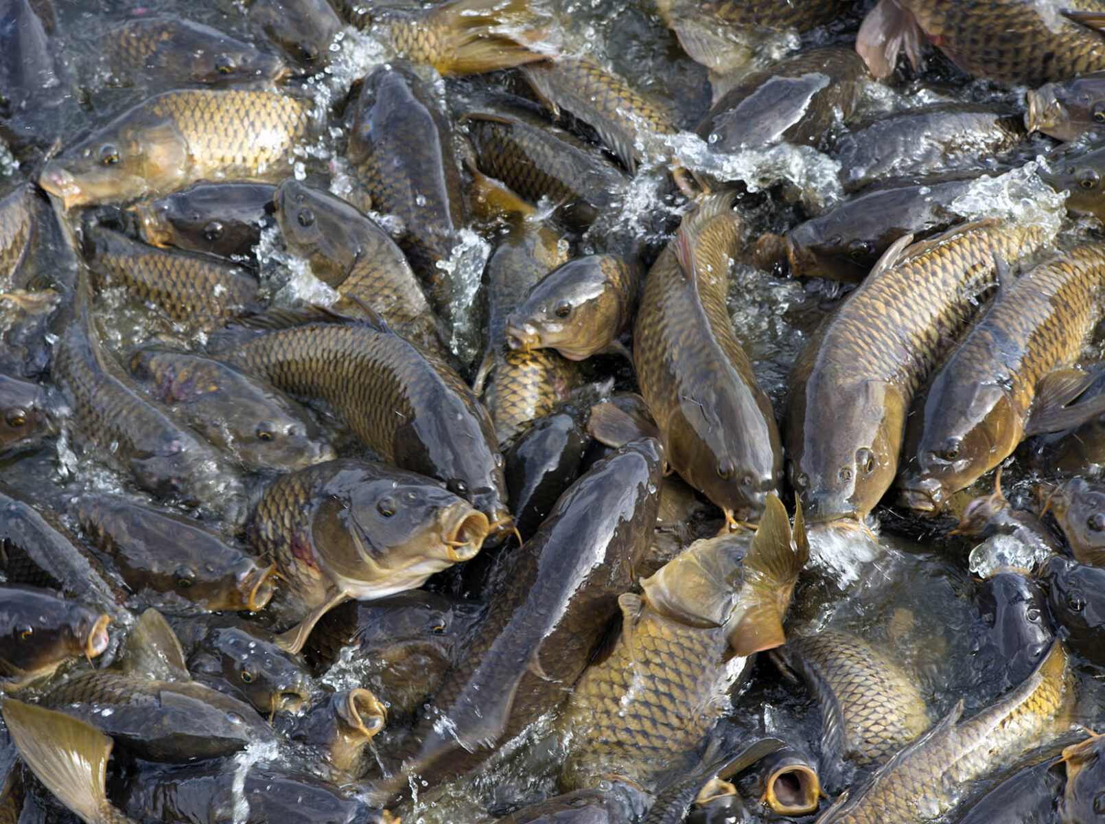 works-linesville spillway-12 works-linesville spillway-12