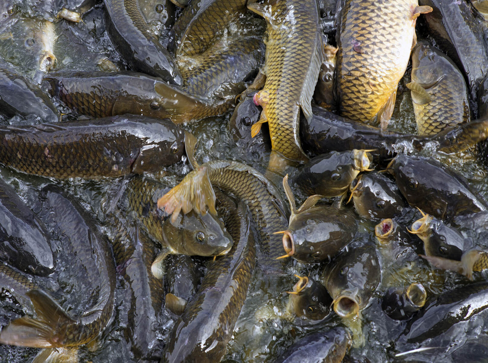 works-linesville spillway-17 works-linesville spillway-17