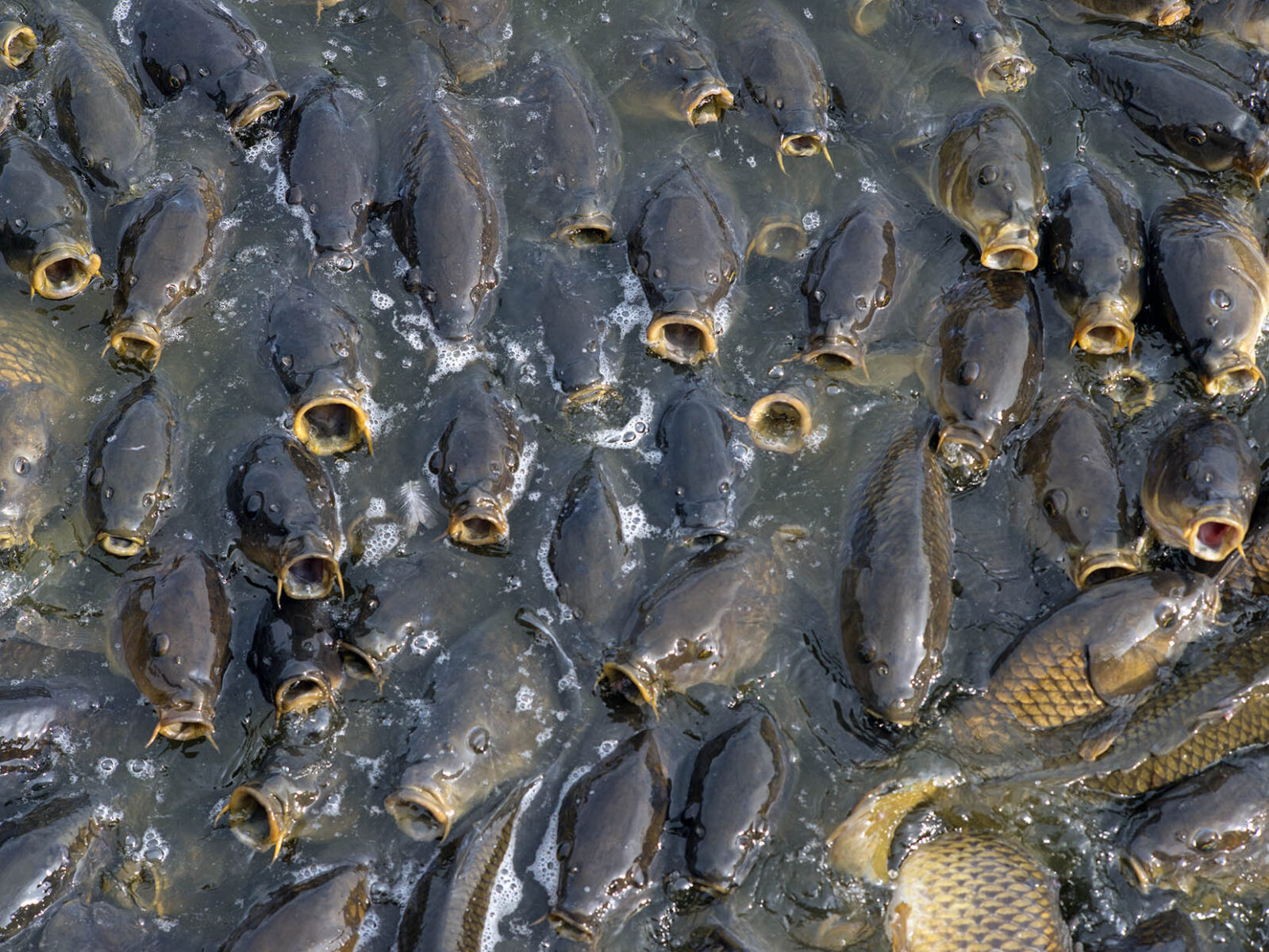 works-linesville spillway-20 works-linesville spillway-20