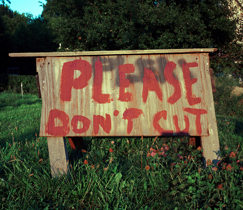 works-20 city cut 17