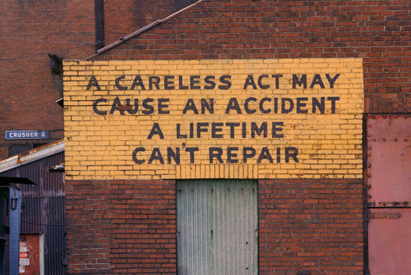 Plant Wisdom
