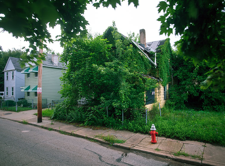 Epei Utica Jungle