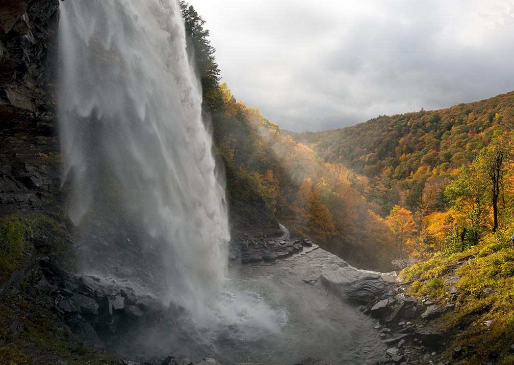 Kat Falls