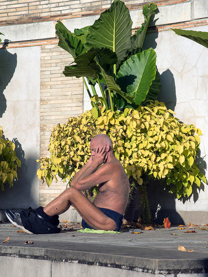Man Plant