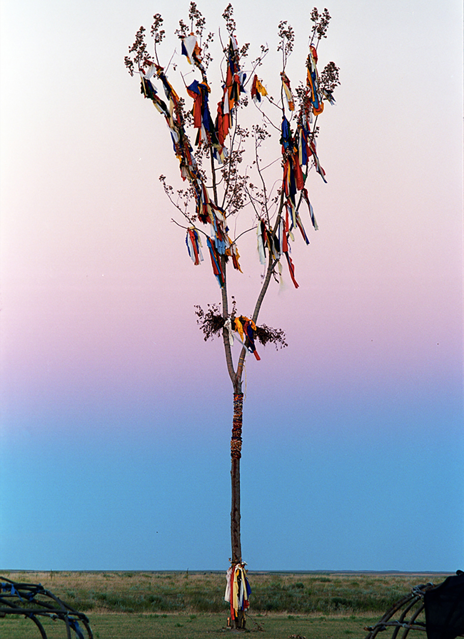 Prayer Tree