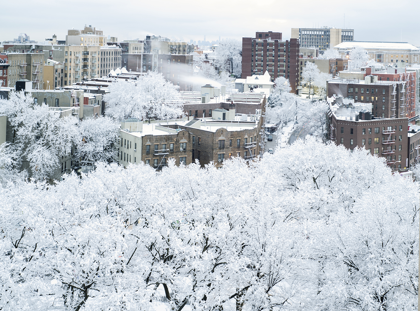 West Bronx Winter, plate 1