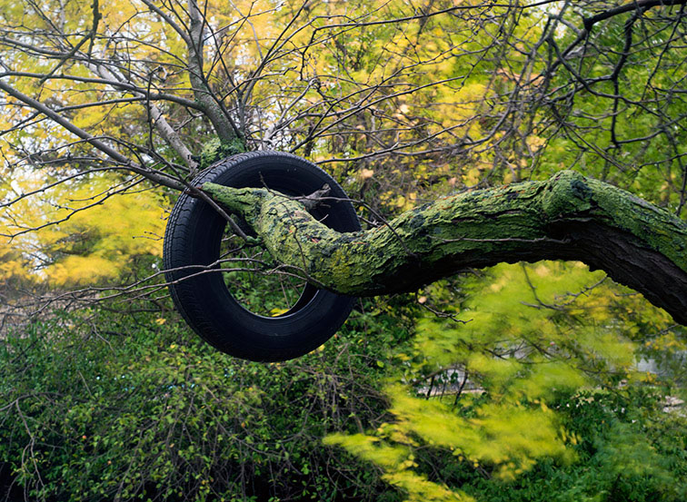 Tired in a Tree, plate 1