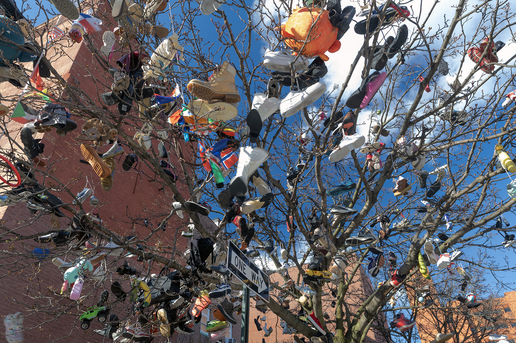 Shoot to three E. 1444th St., Bronx Mott Haven