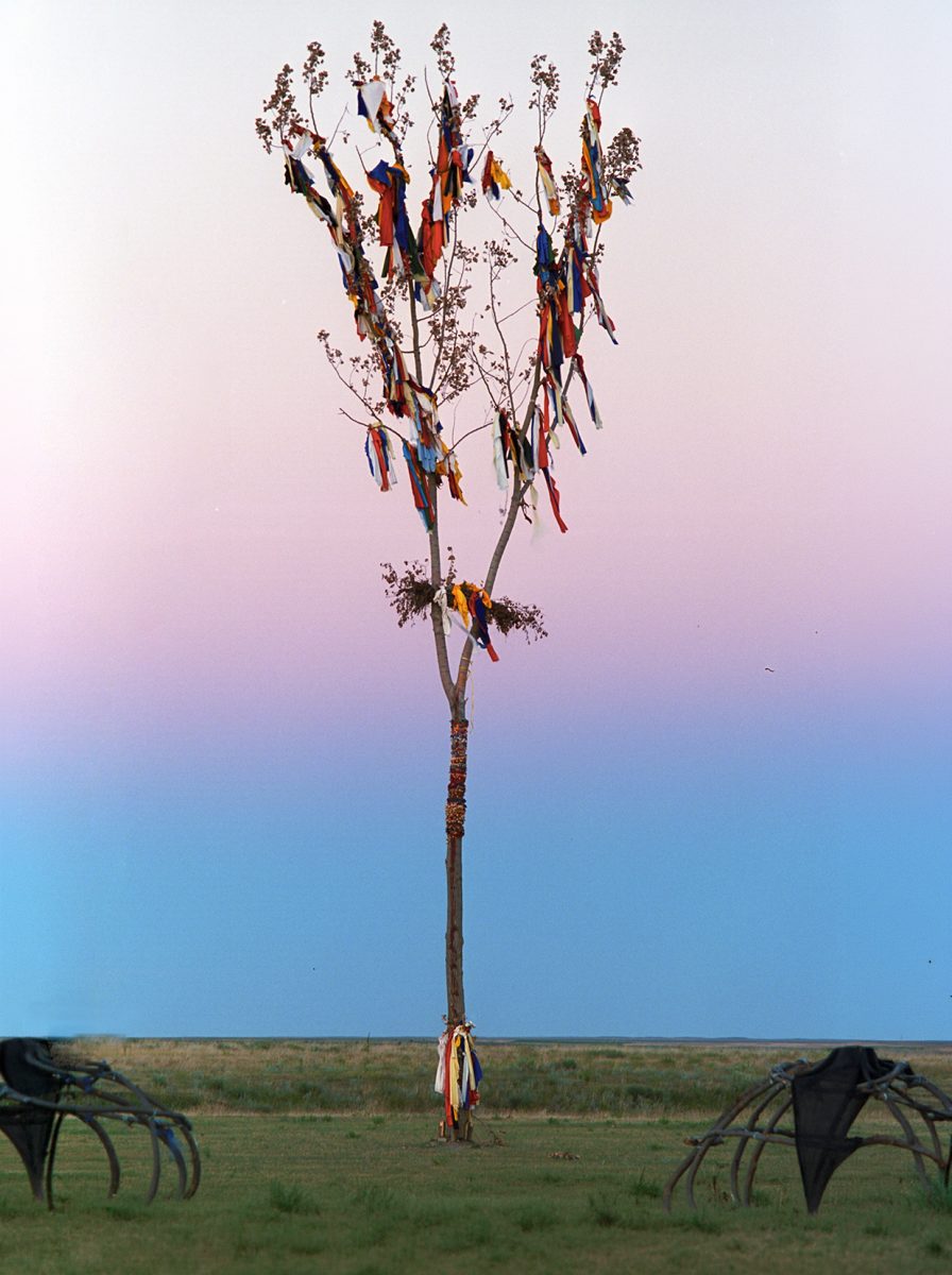 Lakota Sundance tree redshirt table, Badlands, South Dakota prayer cloth
