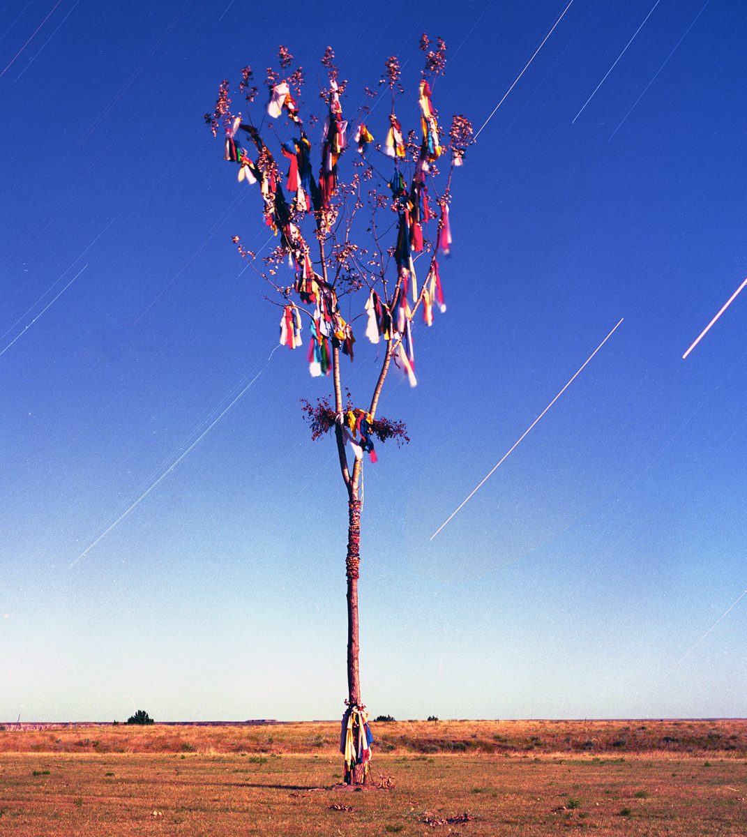 Lakota Sundance tree redshirt table, Badlands, South Dakota prayer cloth