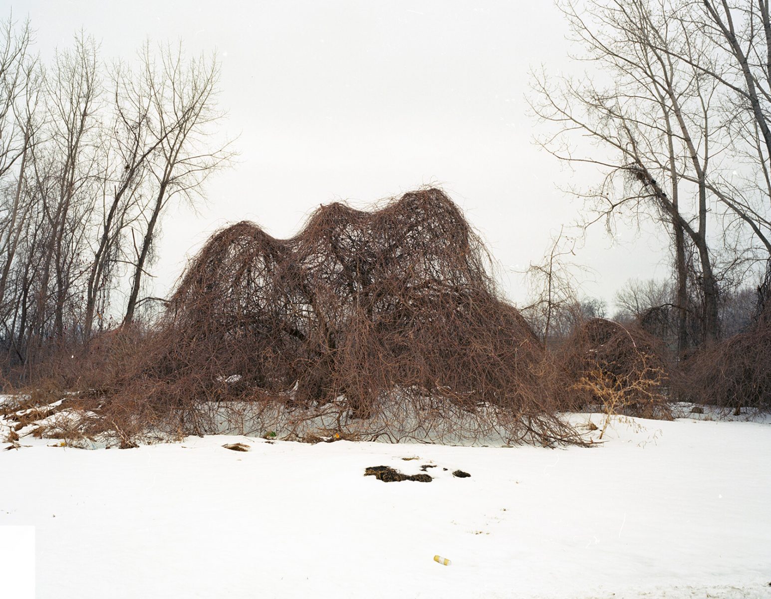 Pictures of the Lost Source - cities, industrial neighborhoods, disappearing America, Rust Belt, waterfalls, moonlight, badlands, night photograohy, streets, bronx, brooklyn, queens, new jersey, cleveland, chicago, steubenville, weirton, warren, industry, steel mills, factories, homes old