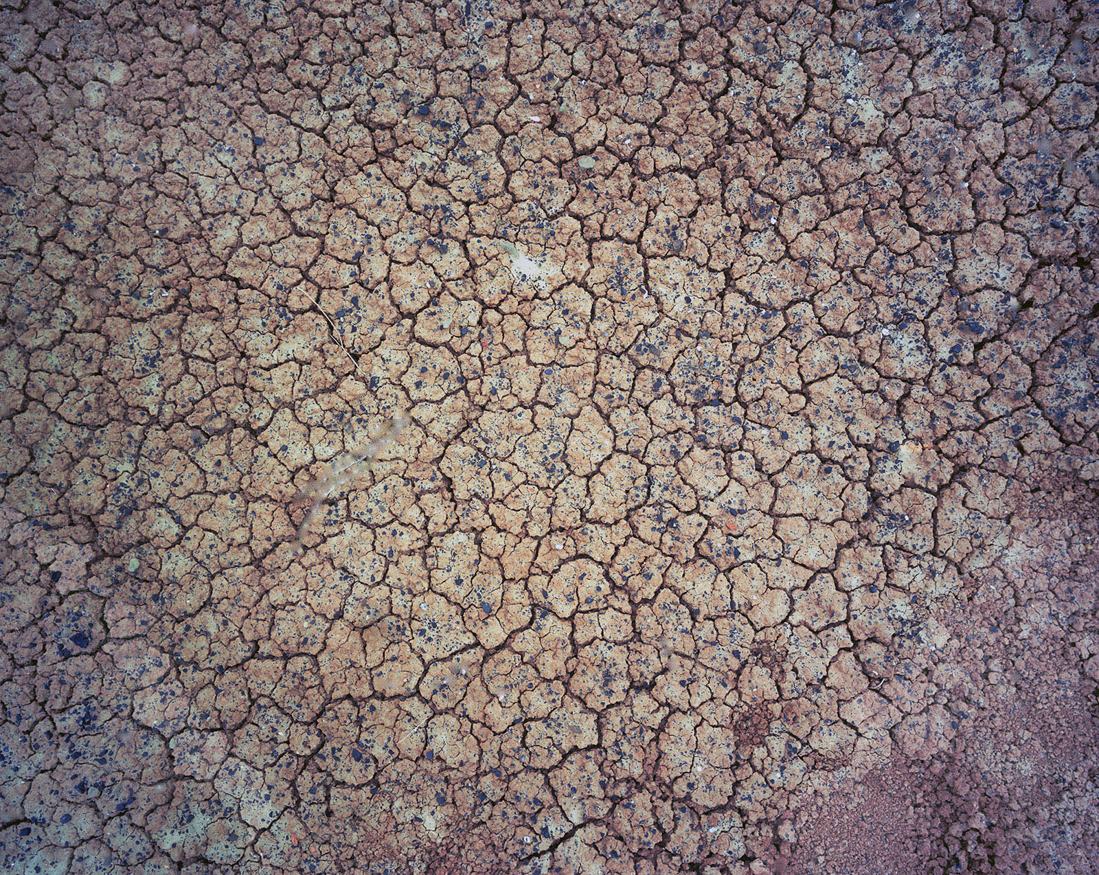 This Bad Land, plate 8