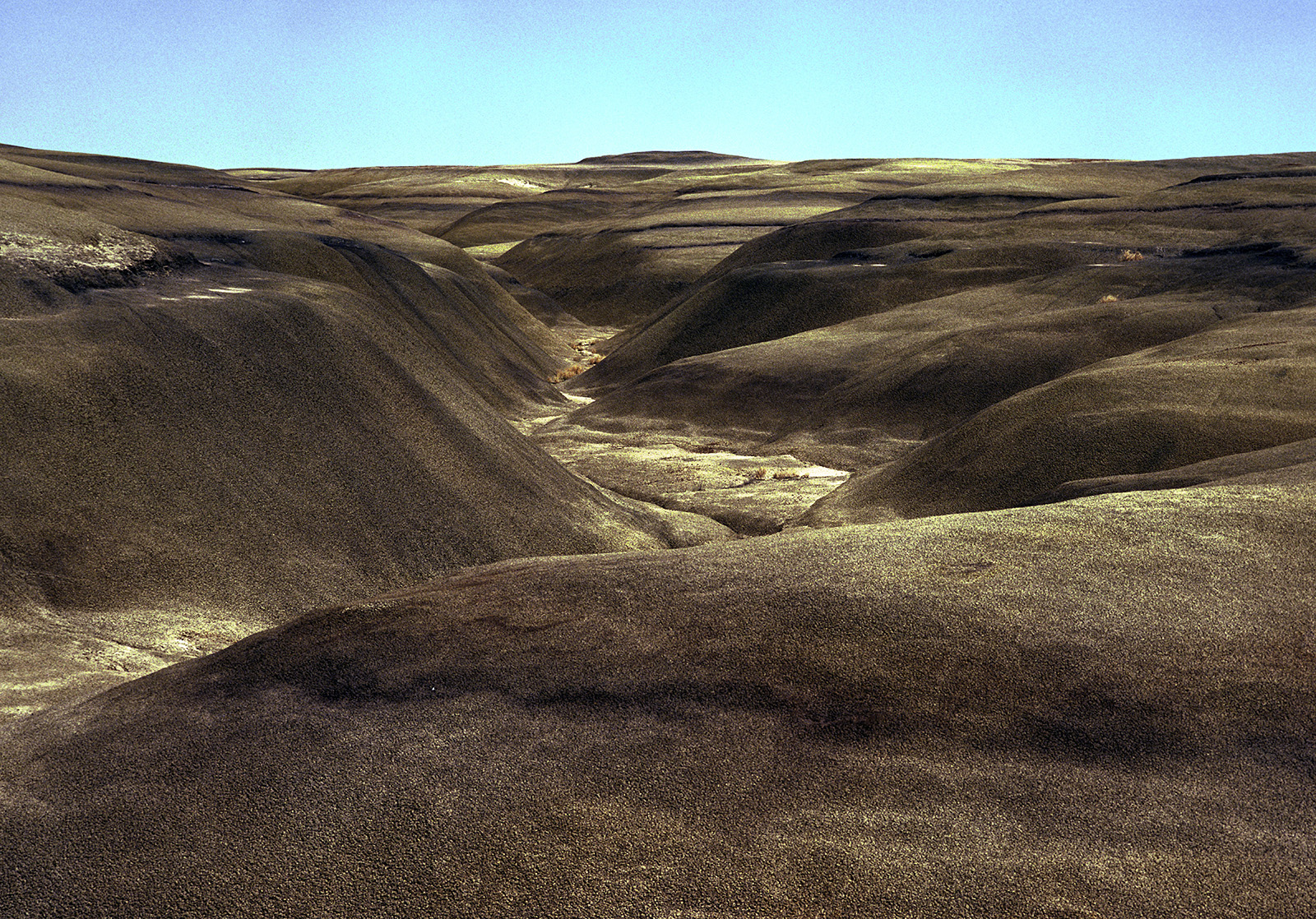 This Bad Land, plate 30