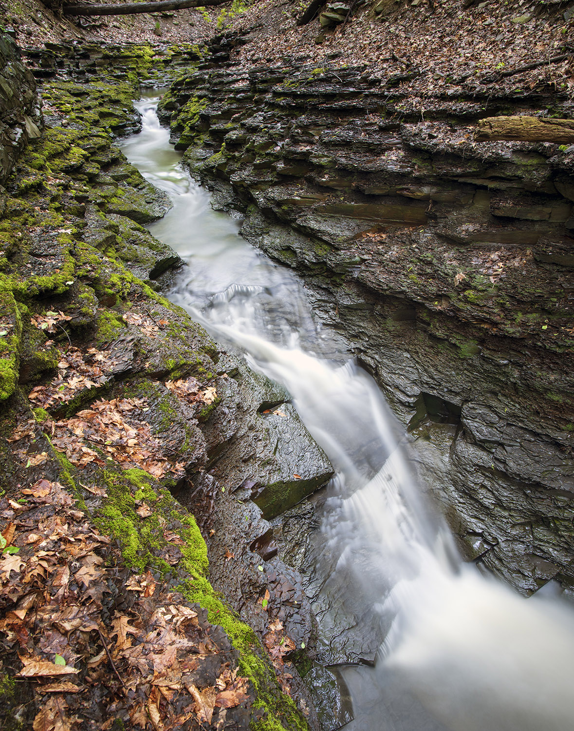 Bluestone Falls, plate 21