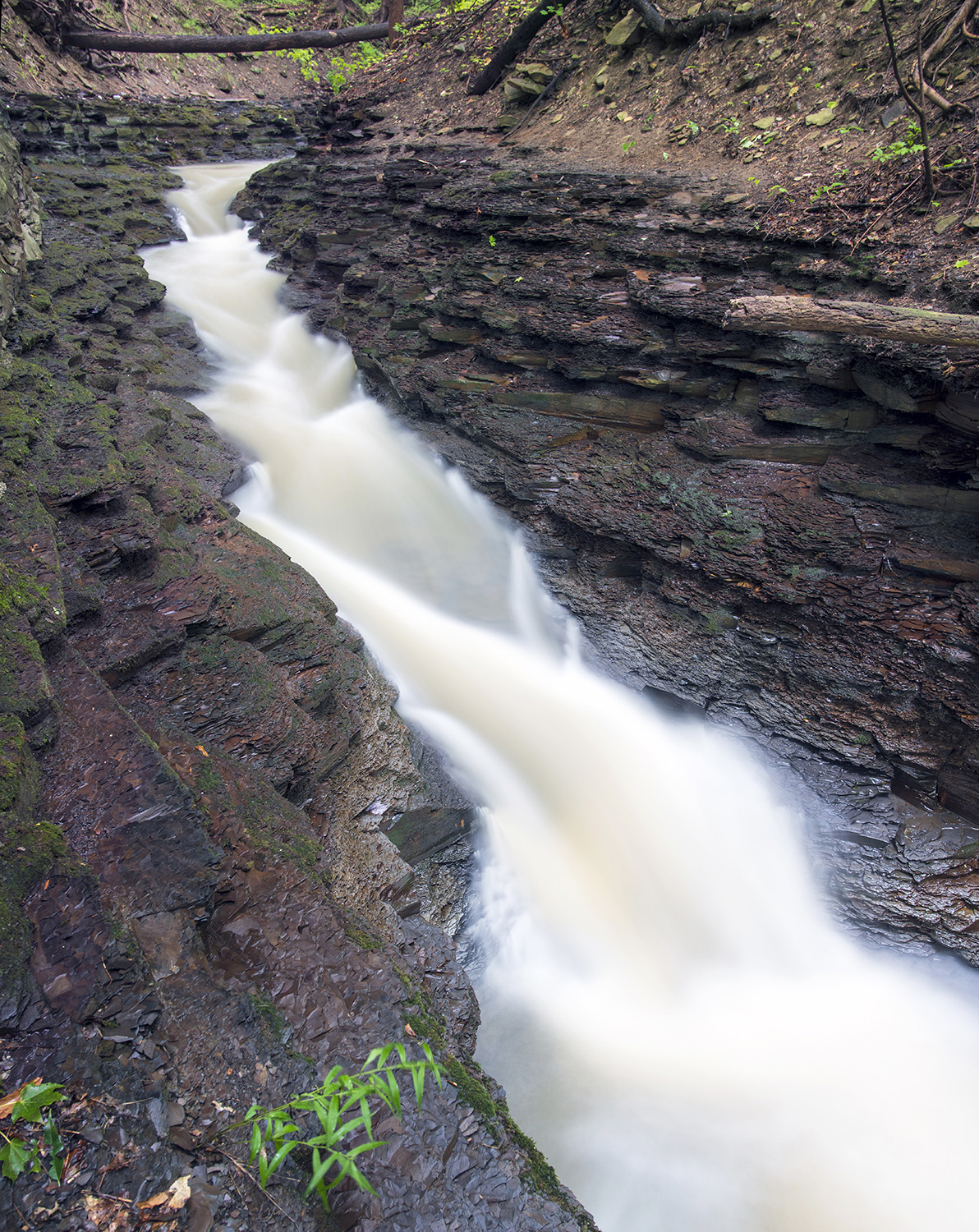 Bluestone Falls, plate 23