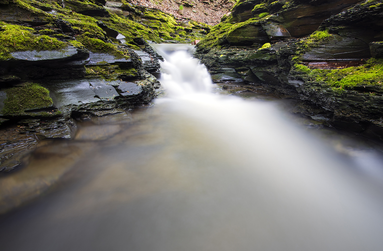 Bluestone Falls, plate 27