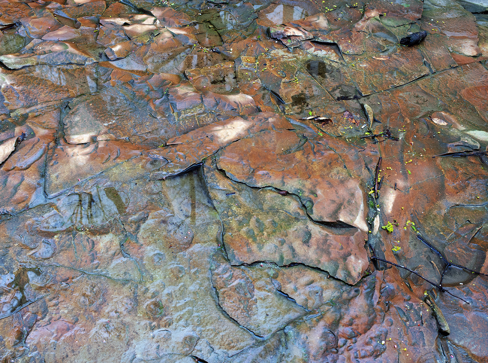 Bluestone Falls, plate 28