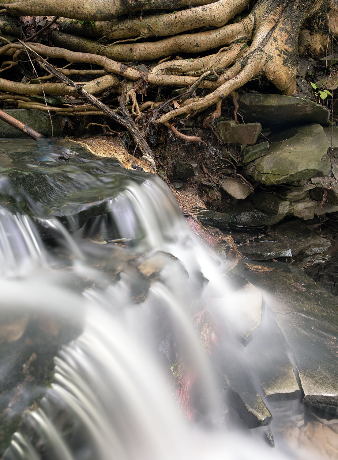 BLUESTONE FALLS, picture 45