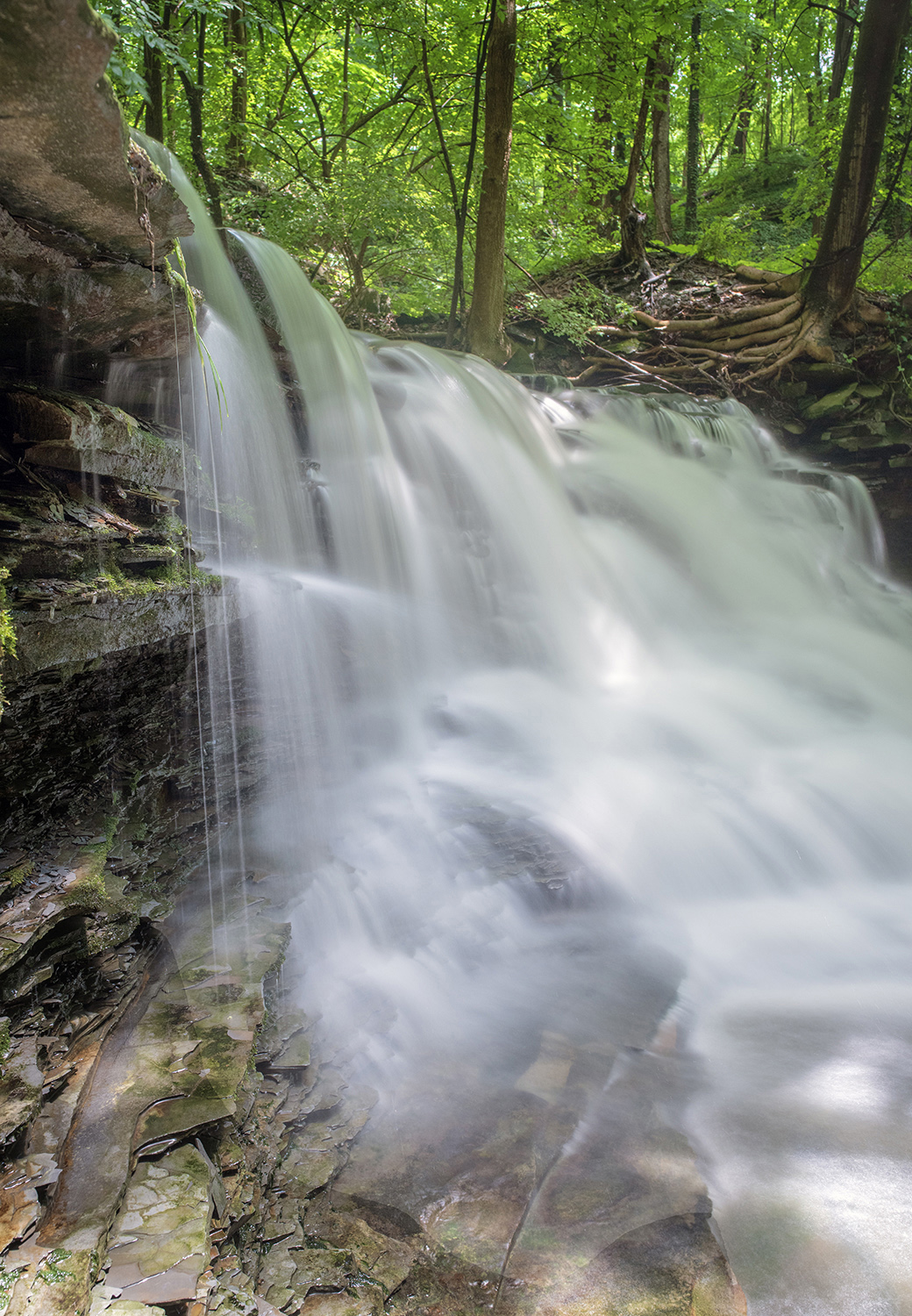 BLUESTONE FALLS, picture 54