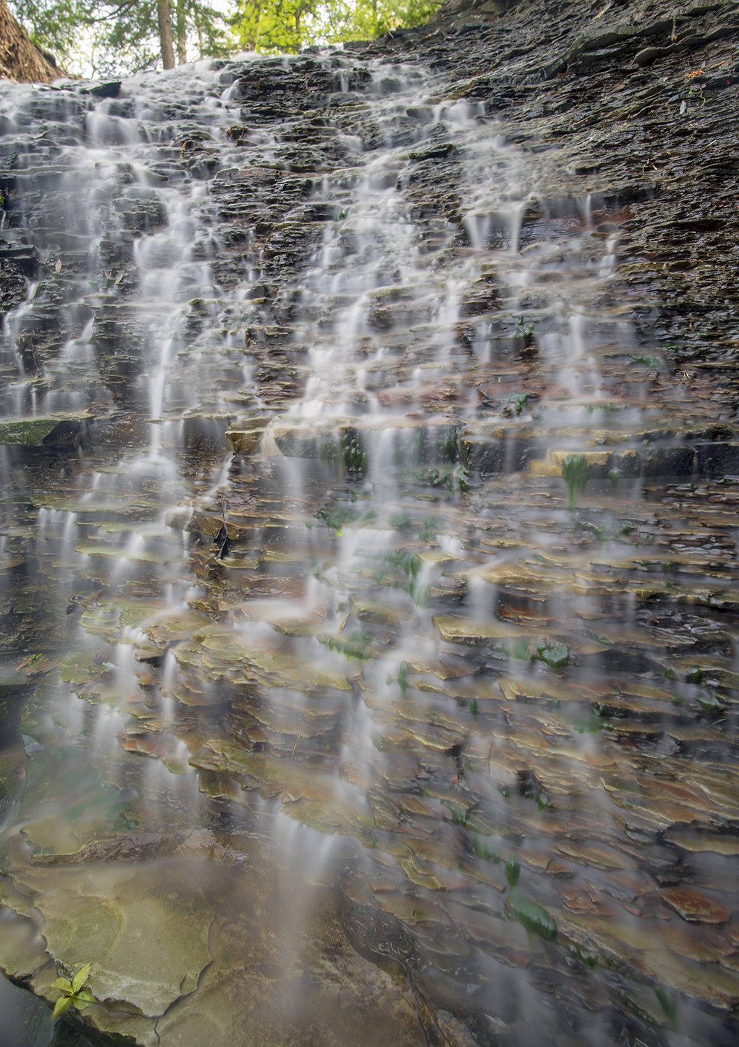 BLUESTONE FALLS, picture 71