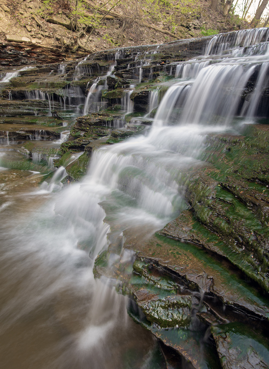 BLUESTONE FALLS, picture 99