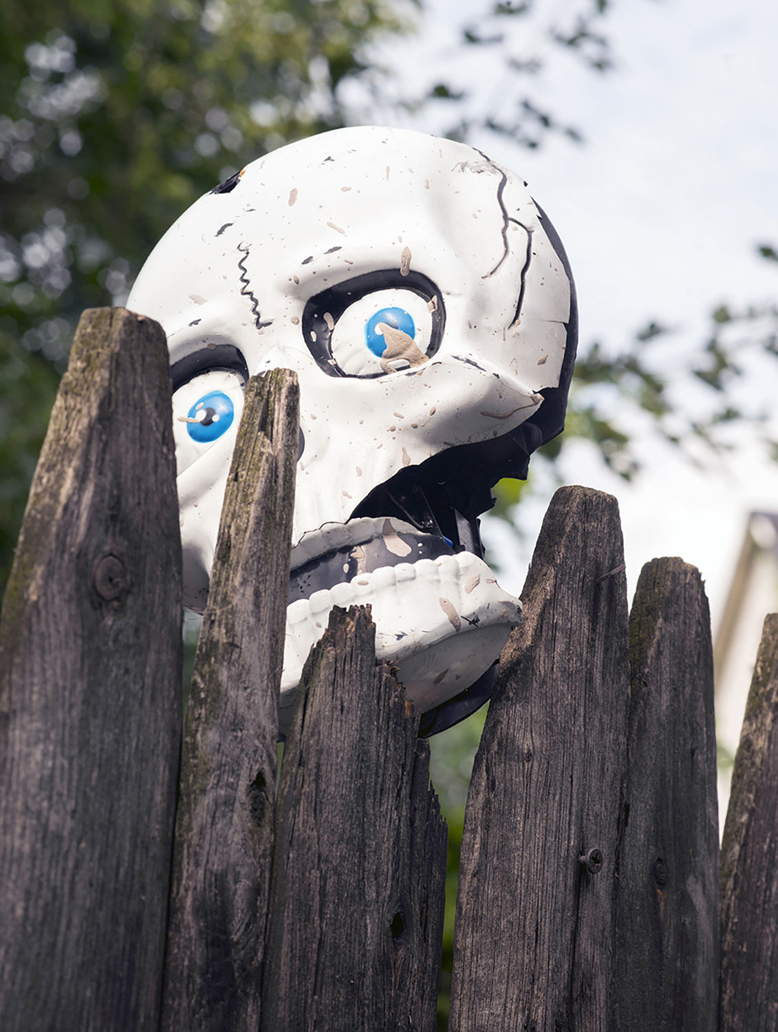 Skull Look Over Fence, East 77th Place, 2008