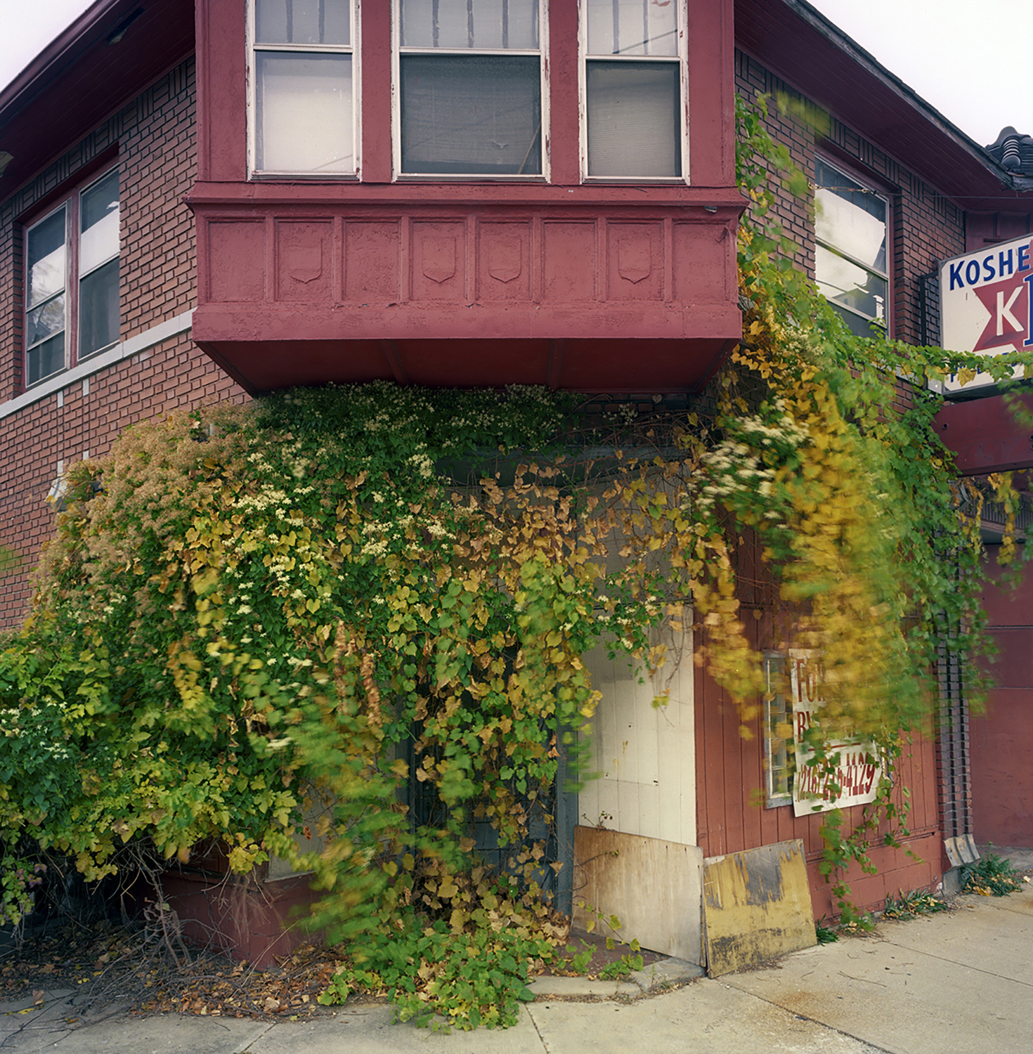 Door, Lakeview Avenue
