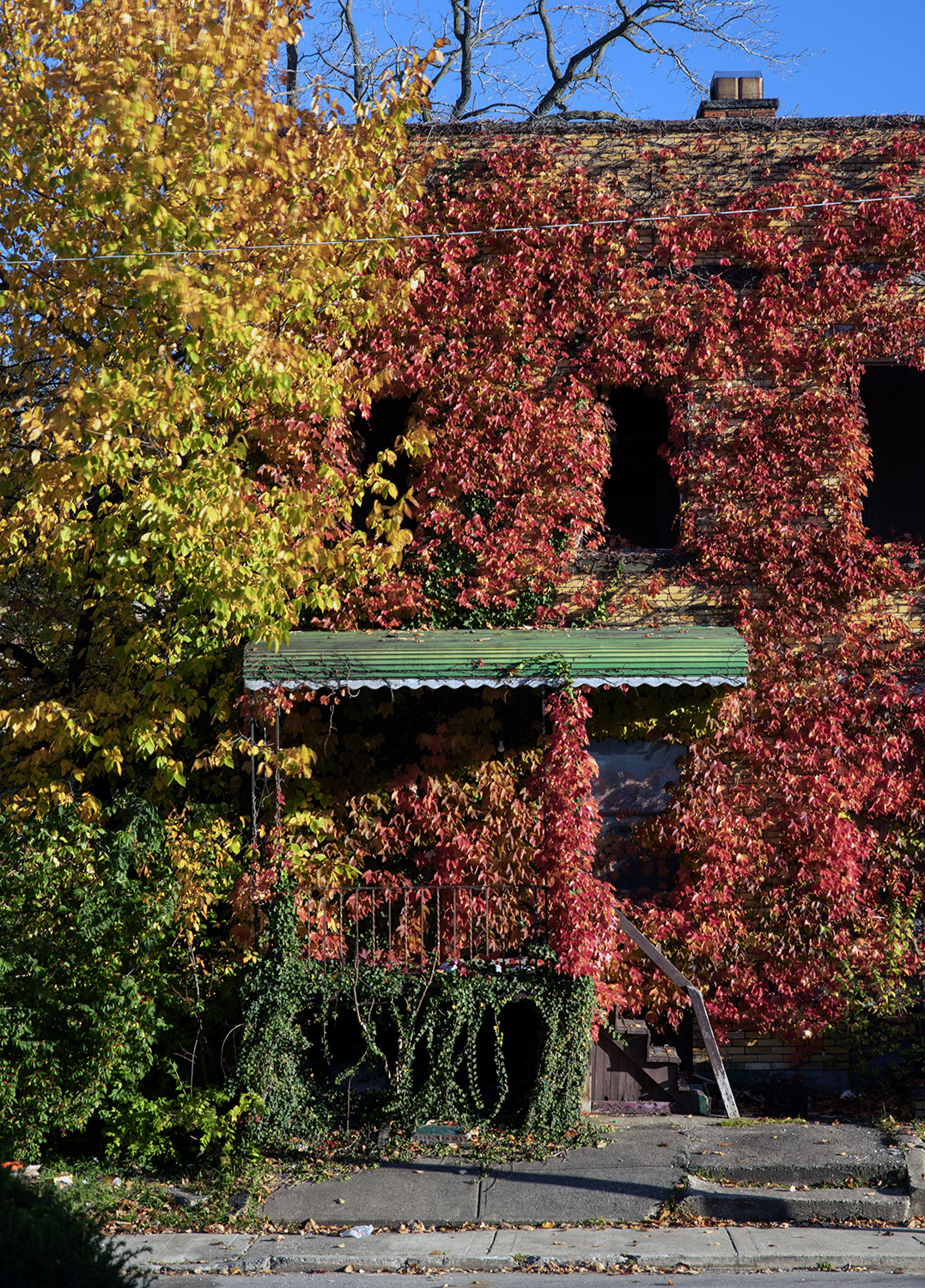 Apartment House, Roxford Road