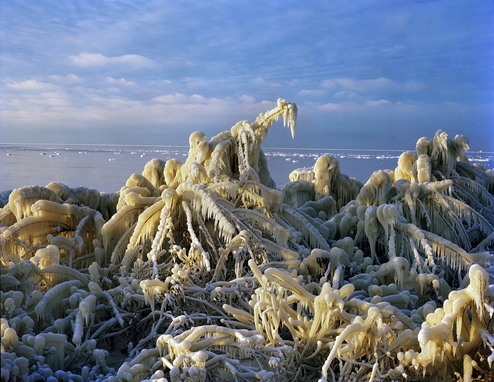 Lake Erie Ice Formations, Cleveland