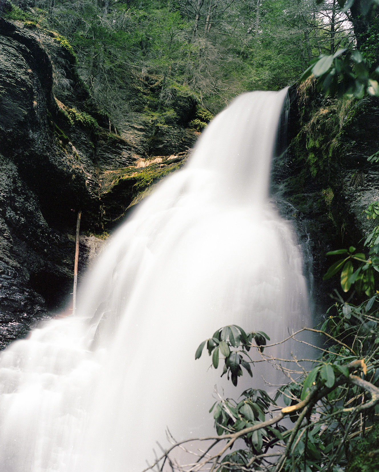 Dingman's Falls Dingman's Falls