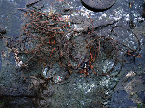 Razor Wire in English Kills at Low Tide