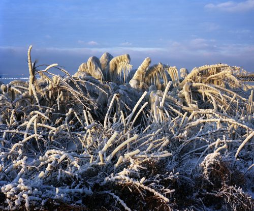 Lake Erie Ice Formations, Cleveland