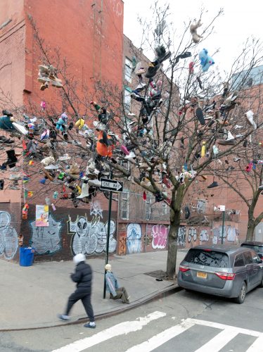 Mother of All Shoe Toss Trees, East143rd Street, Mott Hvan