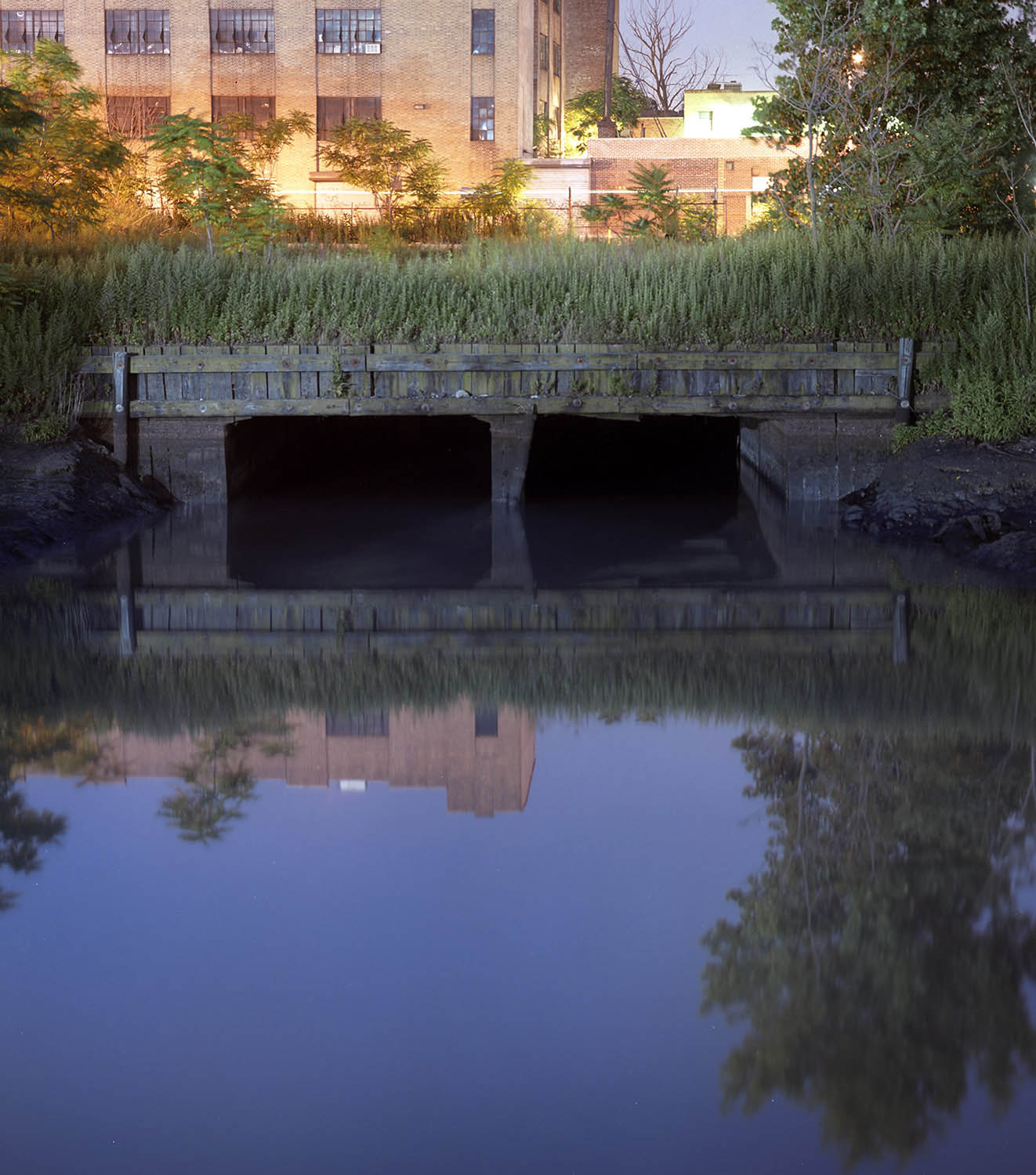 BAD WATER BOTTOM, picture 34