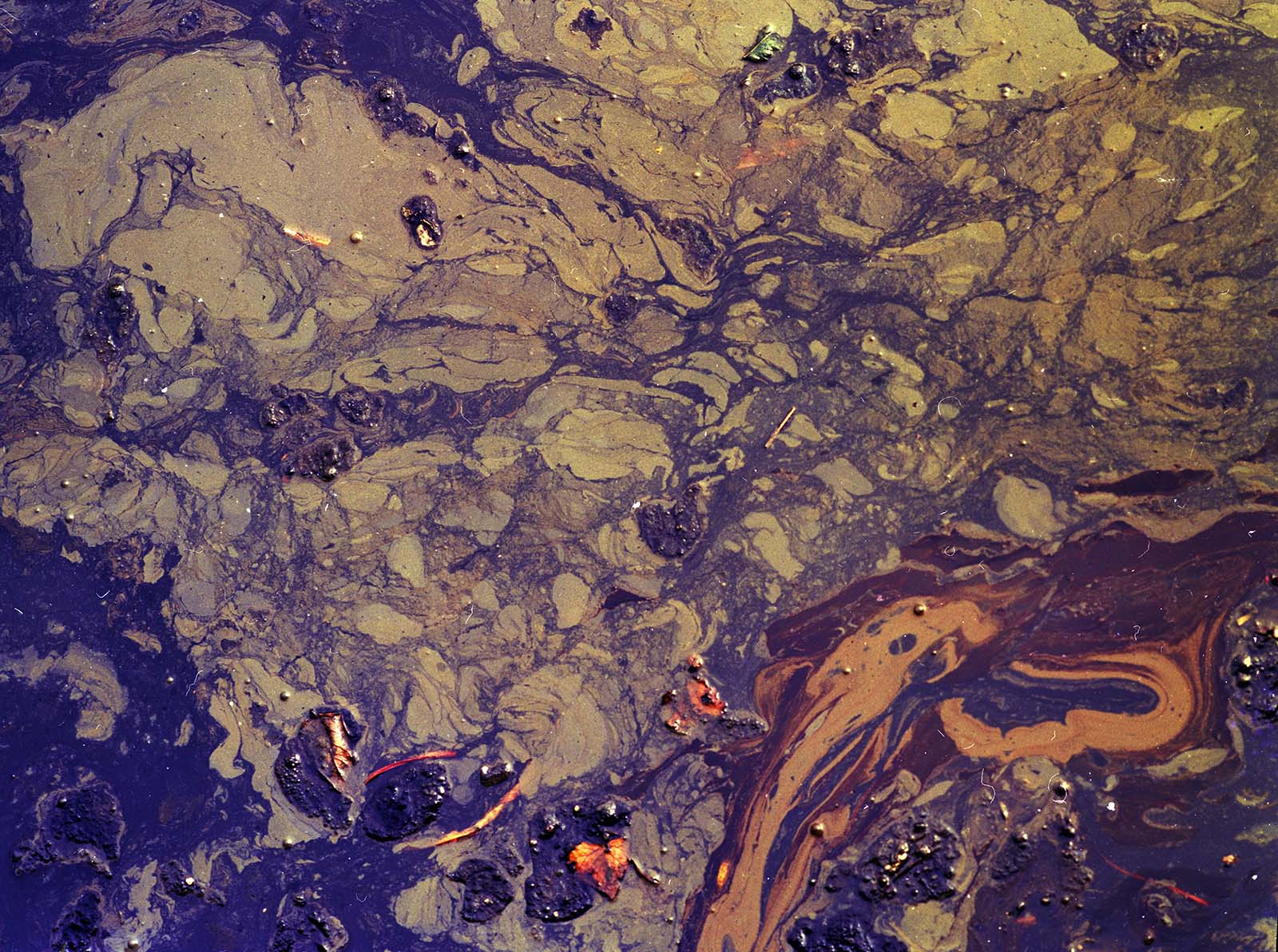 BAD WATER BOTTOM, picture 37