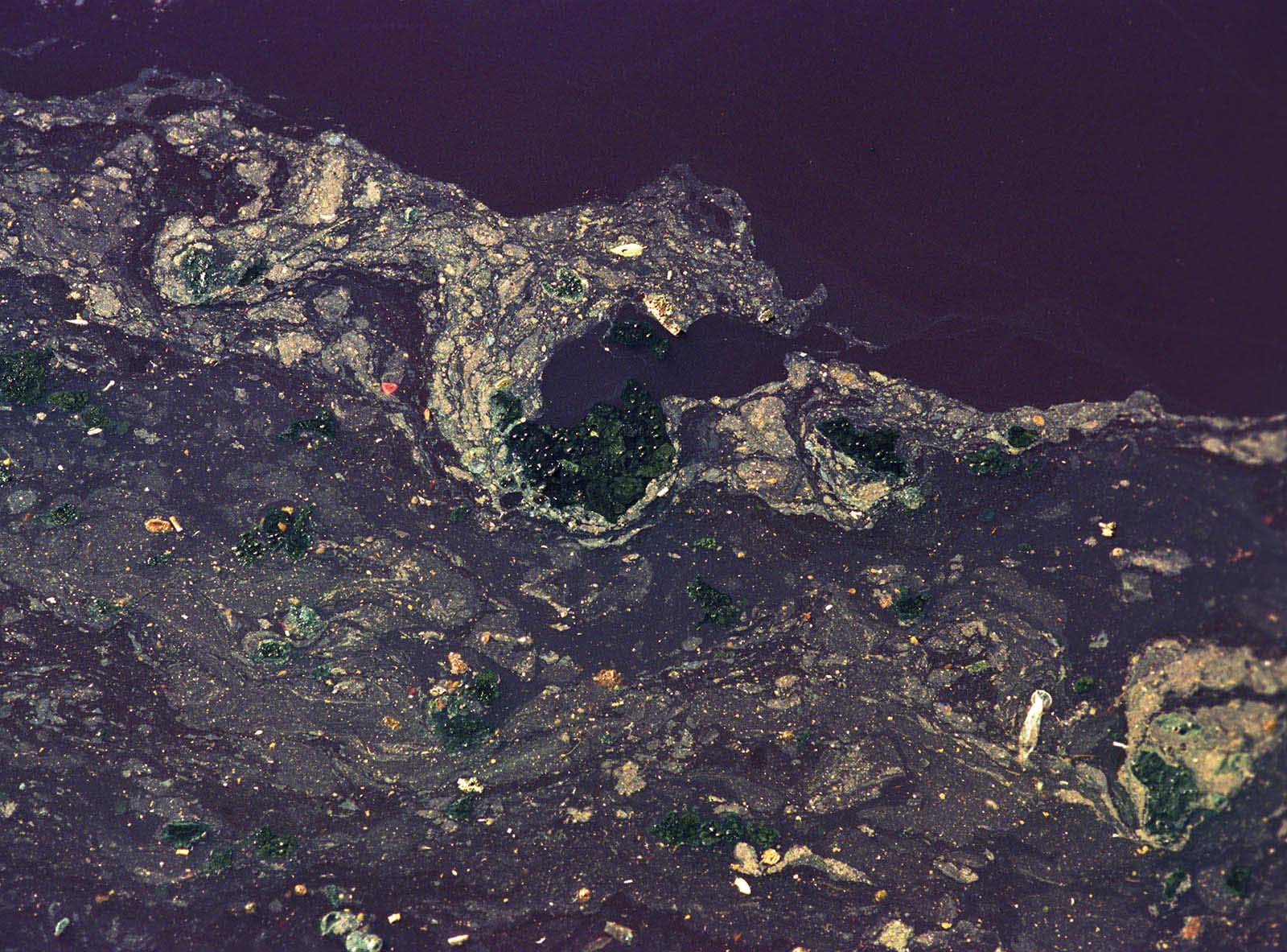 BAD WATER BOTTOM, picture 41