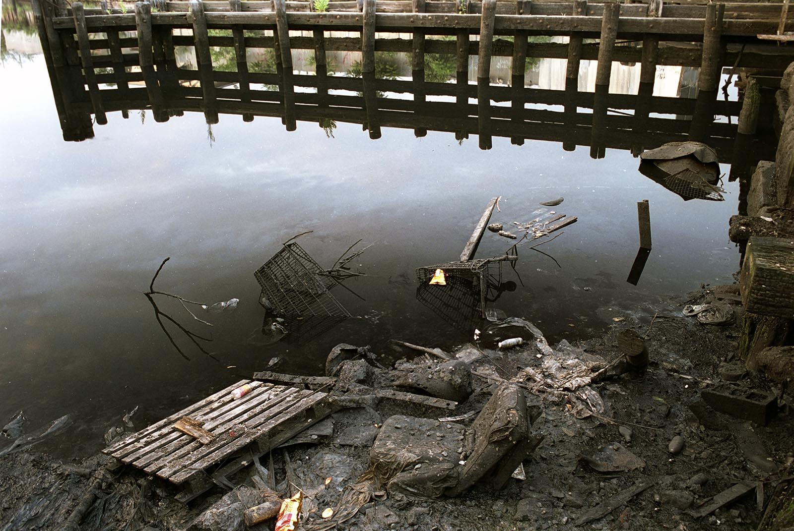 BAD WATER BOTTOM, picture 54