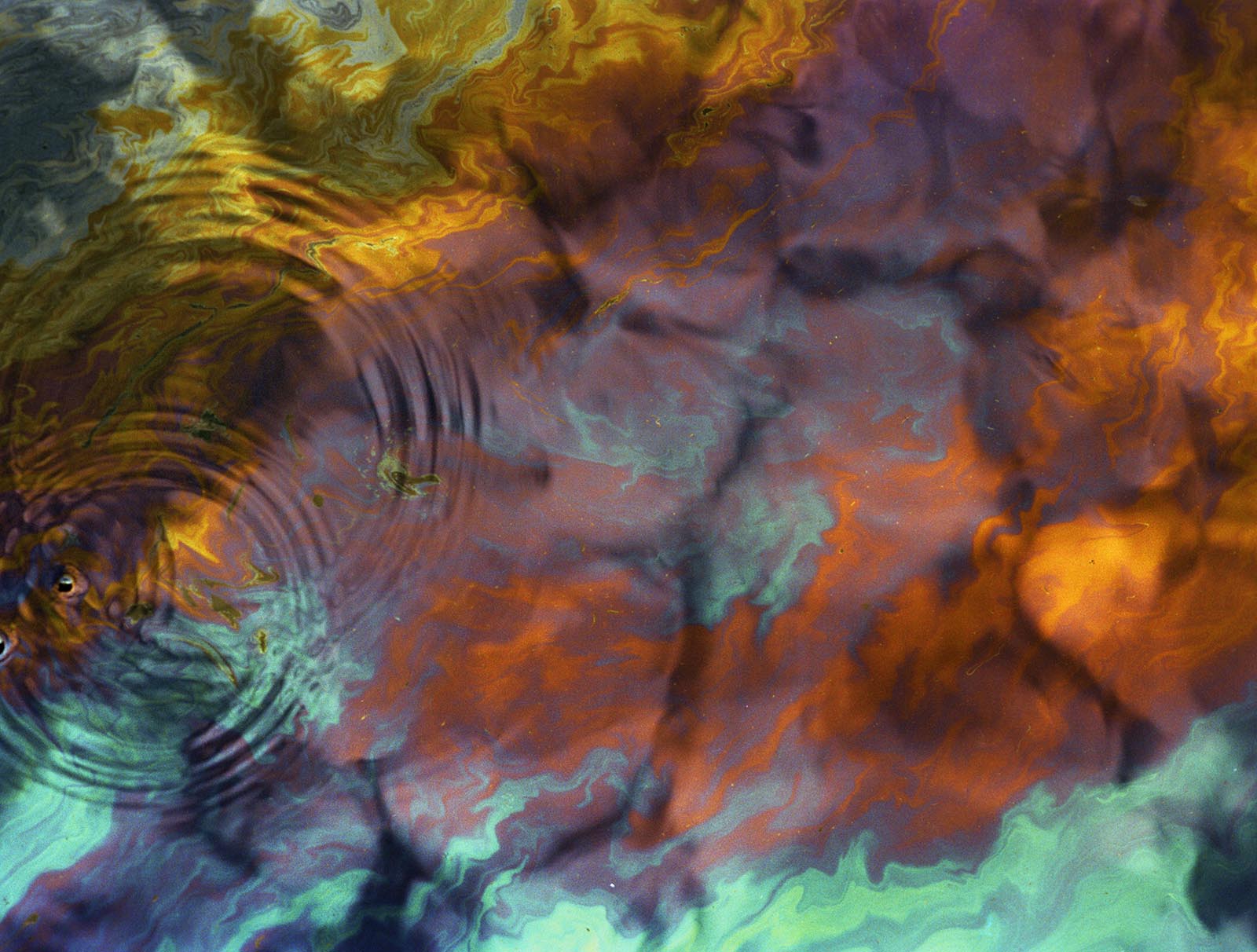 BAD WATER BOTTOM, picture 76