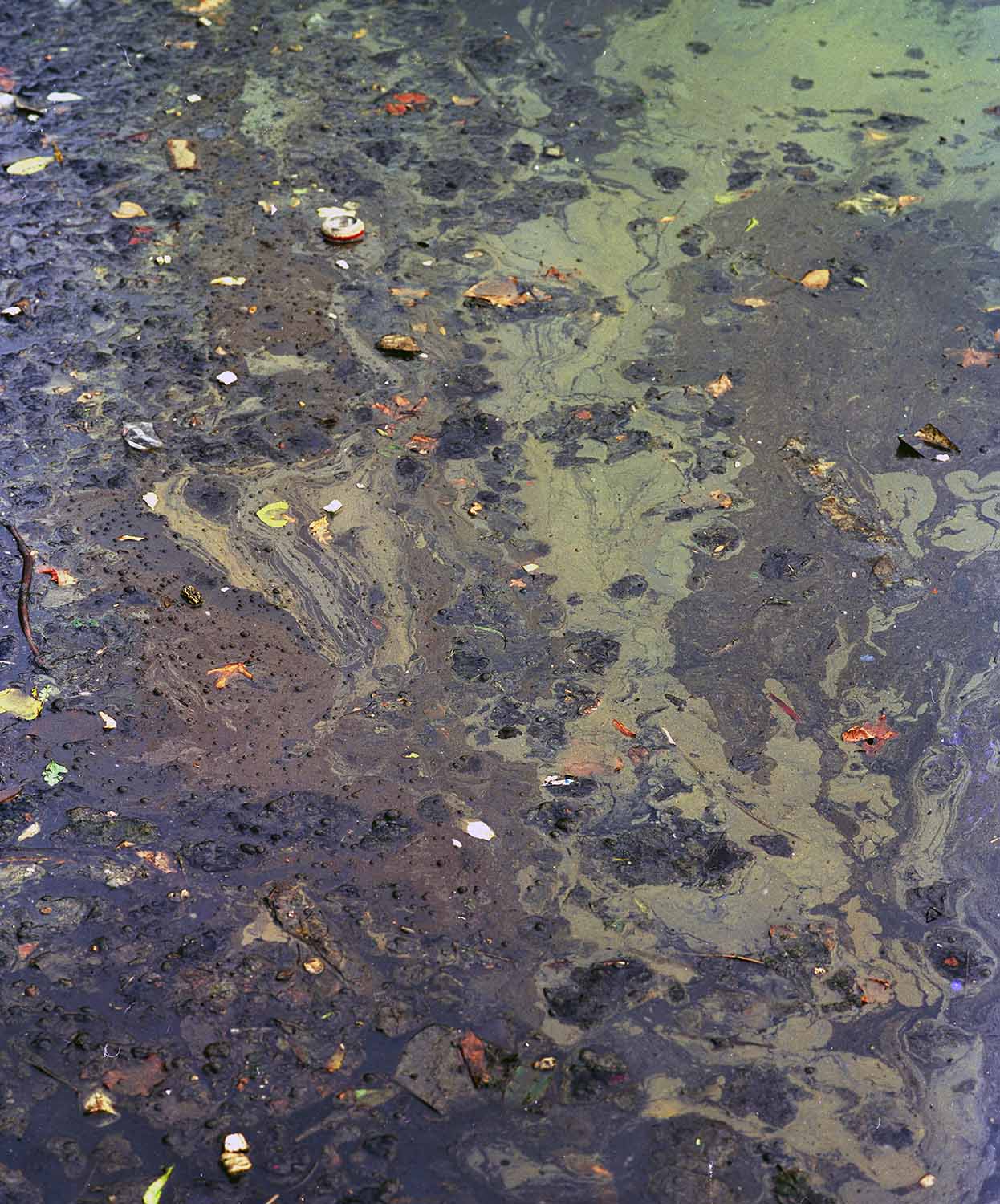 BAD WATER BOTTOM, picture 93
