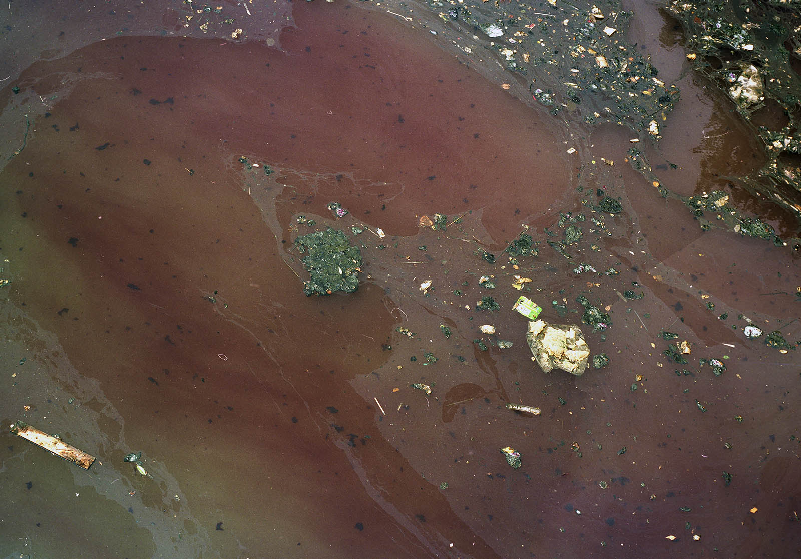 BAD WATER BOTTOM, picture 98