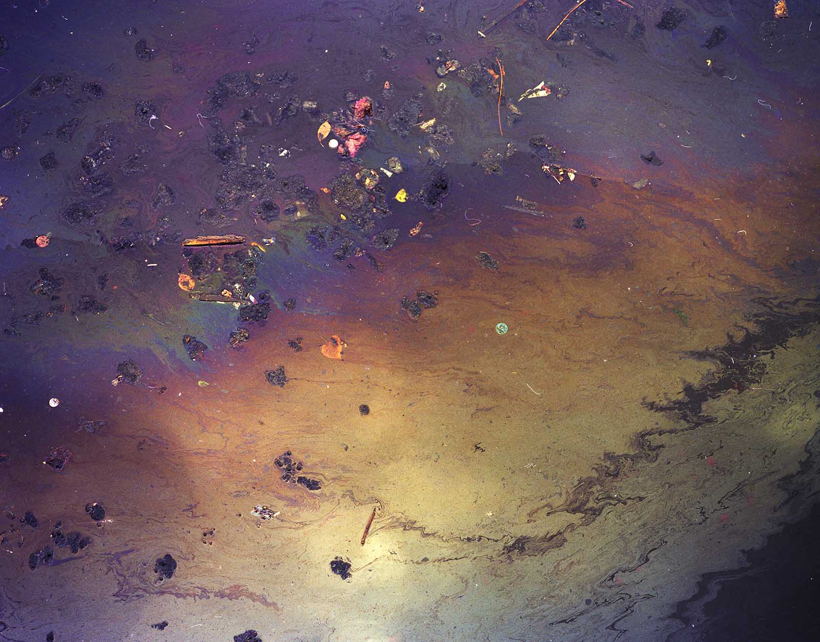 BAD WATER BOTTOM, picture 99